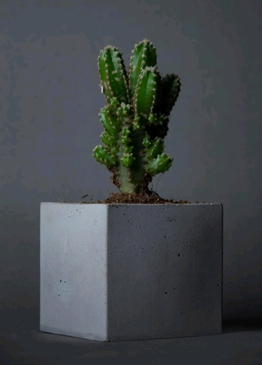 Square Planter