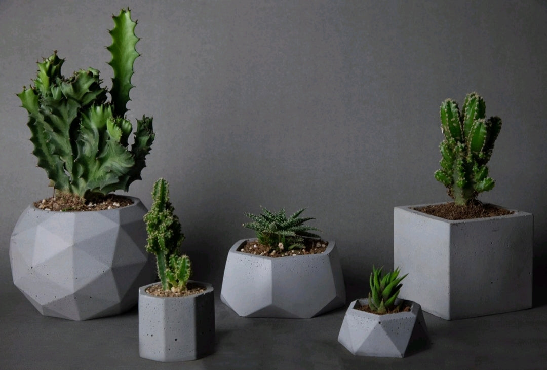 Square Planter