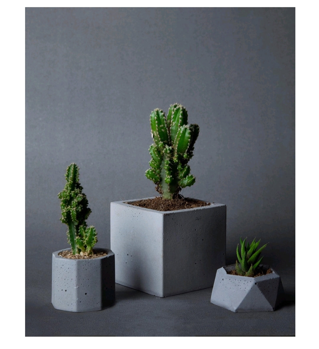 Square Planter