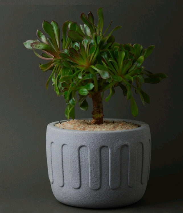 Mario Planter