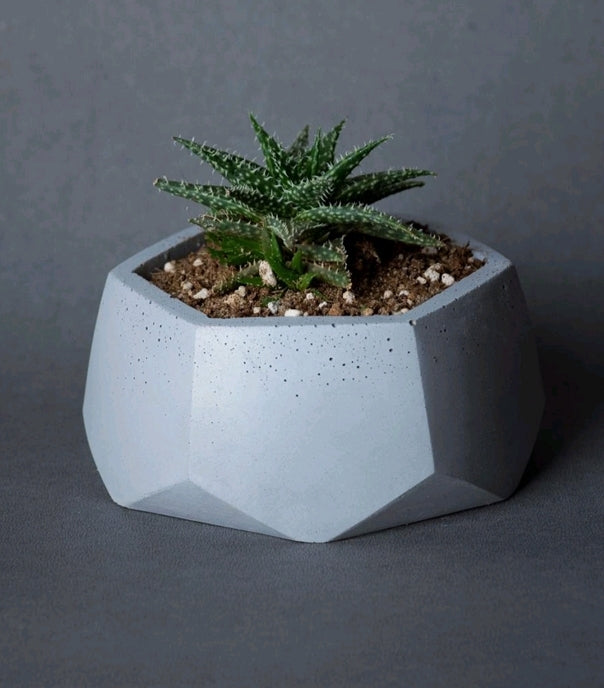 Hexagon - 1